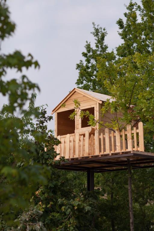 Agriturismo Da Mamma Άλμπα Εξωτερικό φωτογραφία