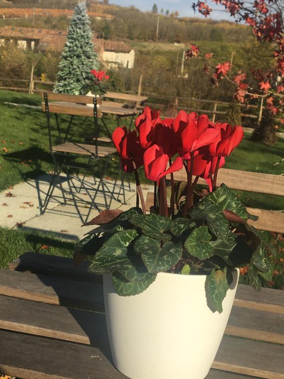 Agriturismo Da Mamma Άλμπα Εξωτερικό φωτογραφία