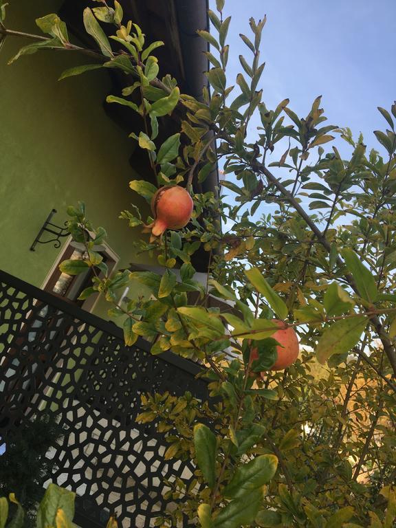 Agriturismo Da Mamma Άλμπα Εξωτερικό φωτογραφία