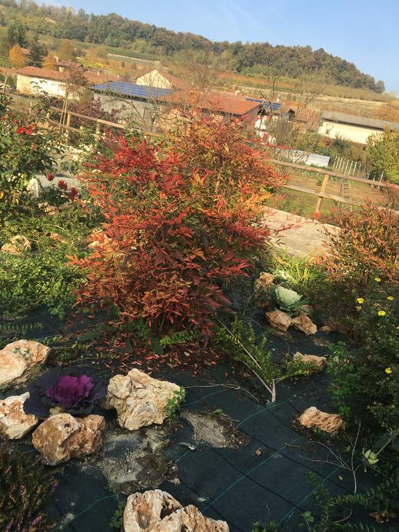 Agriturismo Da Mamma Άλμπα Εξωτερικό φωτογραφία