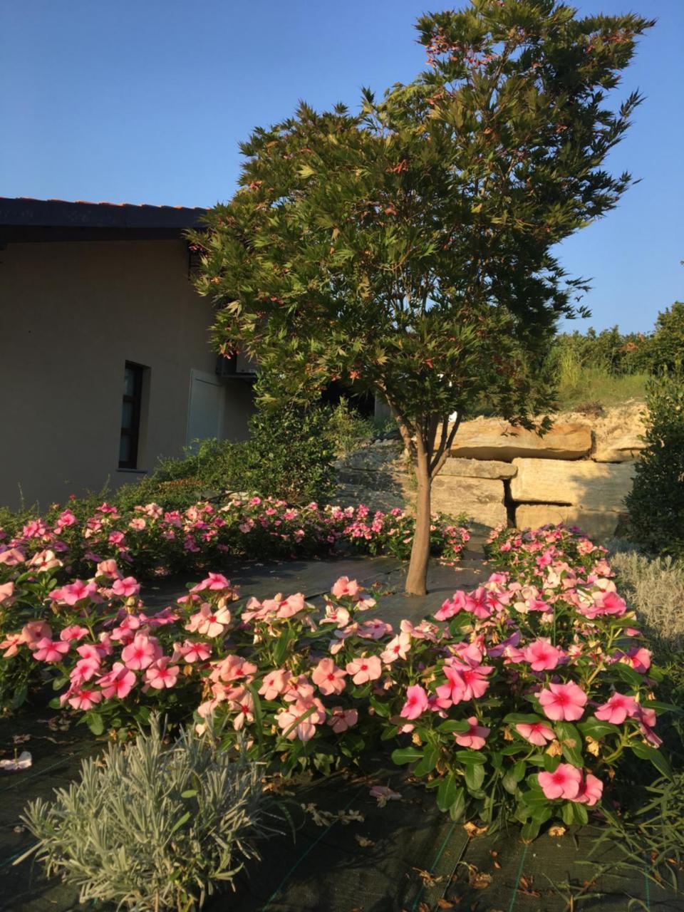 Agriturismo Da Mamma Άλμπα Εξωτερικό φωτογραφία