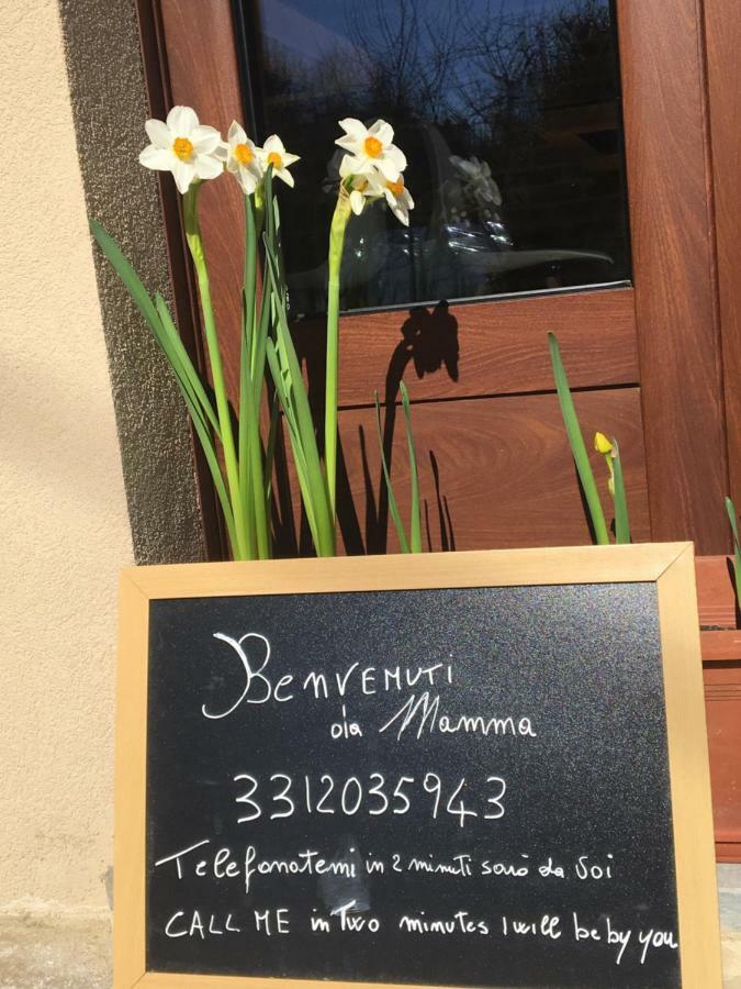 Agriturismo Da Mamma Άλμπα Εξωτερικό φωτογραφία