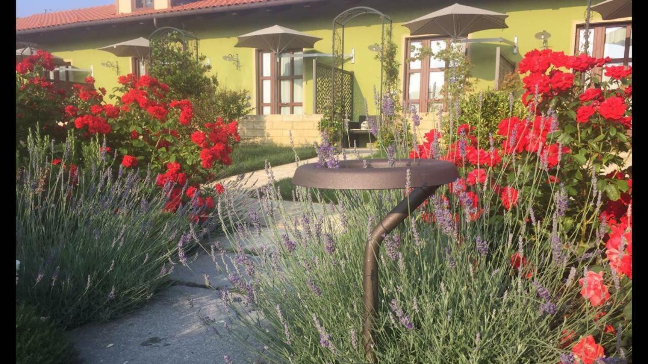 Agriturismo Da Mamma Άλμπα Εξωτερικό φωτογραφία